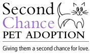 Giving Them A Second Chance For Love